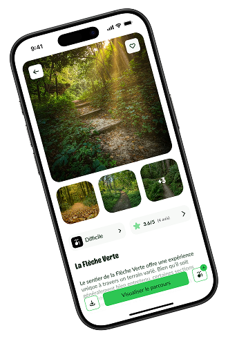 Design de l'application
