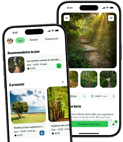 Design de l'application